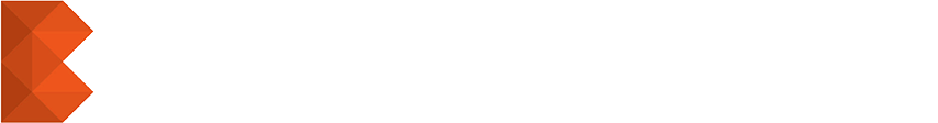 Baknet Cyber Solutions home
